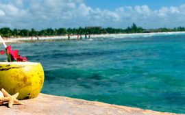 Vacances clés en main : les meilleurs séjours tout compris en république dominicaine