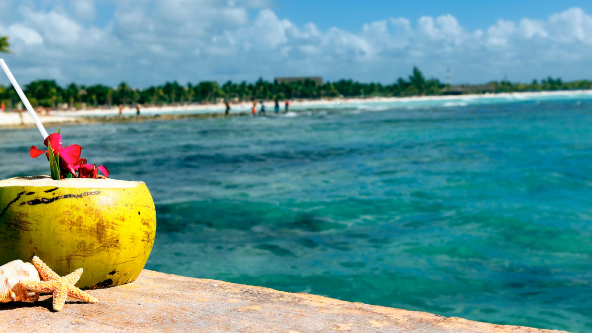Vacances clés en main : les meilleurs séjours tout compris en république dominicaine